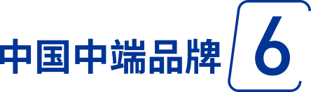 中国中端品牌6